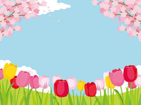 桜とチューリップ　背景イラスト