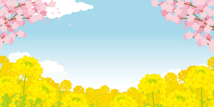 36 3 Best 菜の花 Images Stock Photos Vectors Adobe Stock 36 3 Best 菜の花 Images Stock Photos Vectors Adobe Stock