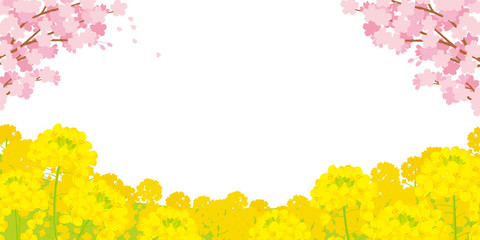 桜と菜の花　背景イラスト © perori