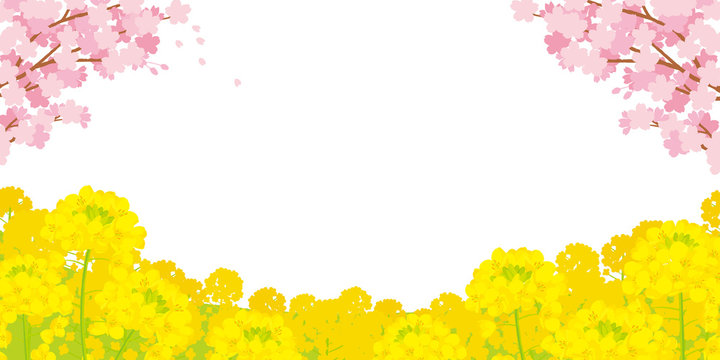 31 306 最適な 菜の花 画像 ストック写真 ベクター Adobe Stock 31 306 最適な 菜の花 画像 ストック写真 ベクター Adobe Stock