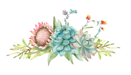 Succulents bouquet watercolor