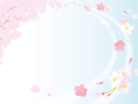 桜　イラスト