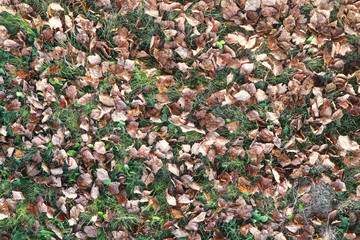 End of summer season in the park