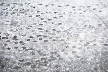 Winter landscape of country fields and roads