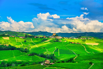 Fototapeta premium Langhe vineyards sunset panorama, Serralunga Alba, Piedmont, Italy Europe.