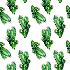 Seamless pattern of cacti painted in watercolor.