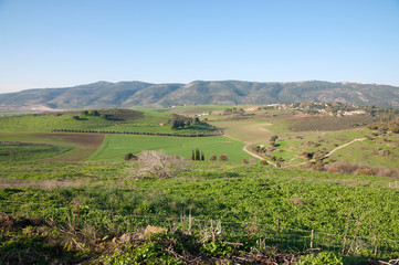 Fototapeta na wymiar Tuscany of Israel
