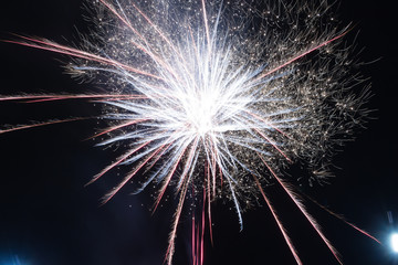 fireworks in the night sky