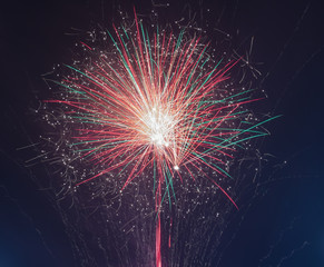 fireworks in the night sky