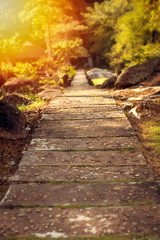 Garden path and sunrise