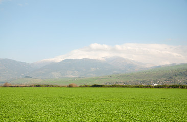 Mount Hermon, upper Galilee, Israel