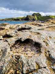 Rare Dinosaur footprint of the sauropod-dominated tracksite from Rubha nam Brathairean, Brothers...
