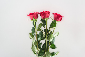 close-up view of beautiful tender red rose flowers isolated on grey