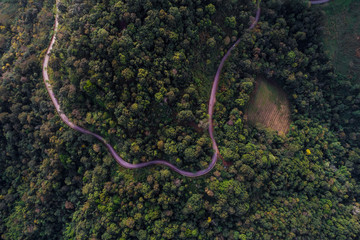Mountain green tropical forest aerial view