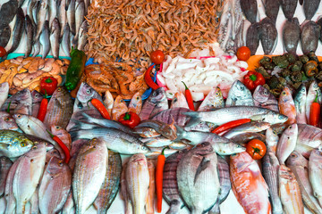 fish in the fish market