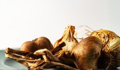 geräucherter Knoblauch