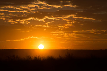beautiful golden sunset