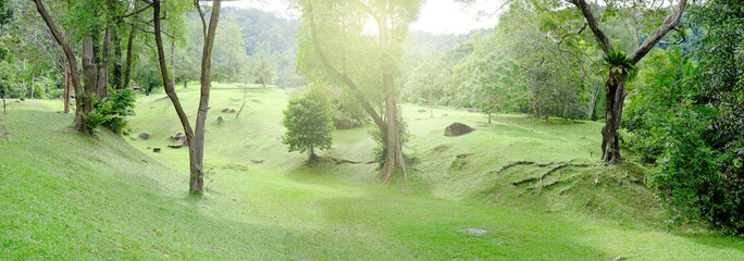Panoramic landscape of a tropical botanic garden.