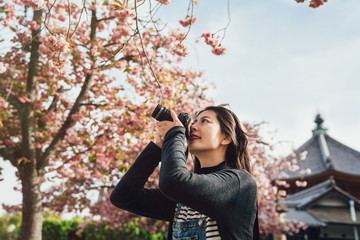 young asian photographing pink sakura