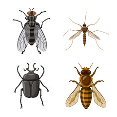 Vector illustration of insect and fly sign. Collection of insect and element stock vector illustration.
