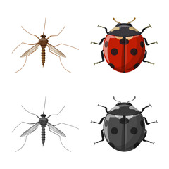 Vector design of insect and fly sign. Collection of insect and element stock vector illustration.