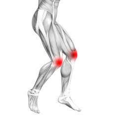 Naklejka na ściany i meble Conceptual knee human anatomy with red hot spot inflammation or articular joint pain for leg health care therapy or sport muscle concepts. 3D illustration man arthritis or bone osteoporosis disease