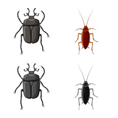 Vector design of insect and fly symbol. Collection of insect and element stock vector illustration.