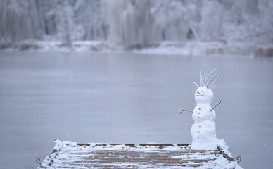 Snowman in the nature a winters day