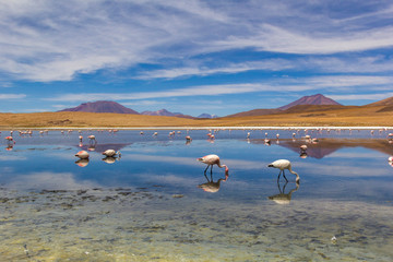 Fototapeta premium Laguna Canapa, Bolivia