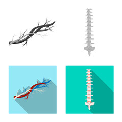 Vector design of body and human sign. Set of body and medical stock vector illustration.