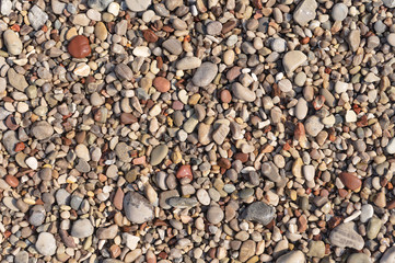 Background from small multicolored sea pebbles