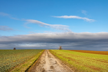 Fototapeta premium Polną drogą między polami jesienią lub wiosną pod błękitnym niebem