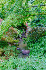 Creek among trees at Portland Japanese Garden, Portland, USA