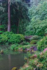 Wooden bridge and pond among trees at Portland Japanese Garden, Portland, USA