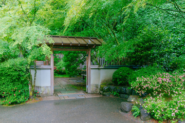 Wooden gate among trees at Portland Japanese Garden, Portland, USA