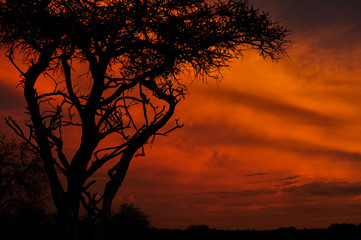 AfricanSunset
