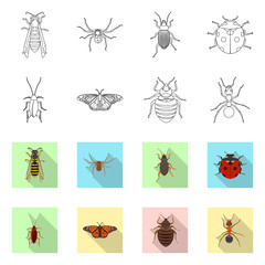 Vector design of insect and fly sign. Set of insect and element vector icon for stock.