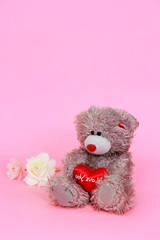 decorative gray teddy bear on a pink background for the holiday Valentine's Day