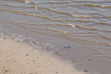 sandbank on the river. waves and clear water near the shore