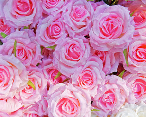 pink fake roses closeup, colorful background