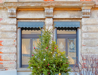 Obraz na płótnie Canvas christmas decorated windows and tree