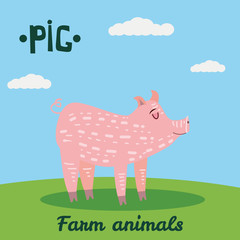 Cute Pig farm animal character, farm animals, vector illustration on field background. Cartoon style, isolated