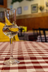 Elegant glass with alcohol on checkered red and white tablecloth. White wine in glass. Drinks and beverages concept. Restaurant interior. Cafe table decoration. Champagne glass. Dinner and aperitif. 