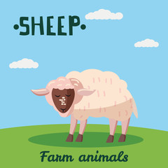 Cute Sheep farm animal character, farm animals, vector illustration on field background. Cartoon style, isolated