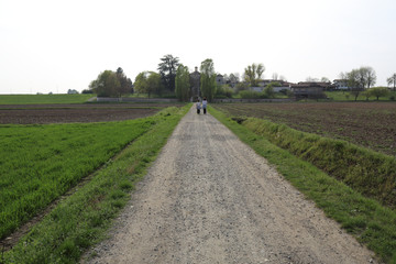 Fototapeta na wymiar Two people walking in the countryside on an unpaved path among grazings, mowed grass, plowed fields and canals in spring in Cameri, Piedmont, Italy