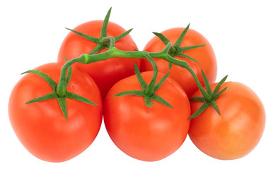 Tomato. Tomato branch. Tomatoes isolated on white. With clipping path