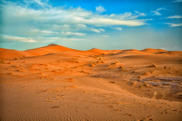 Sahara at dusk