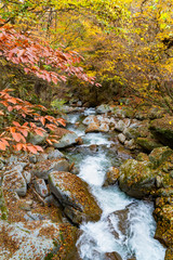 紅葉の山中を流れる川