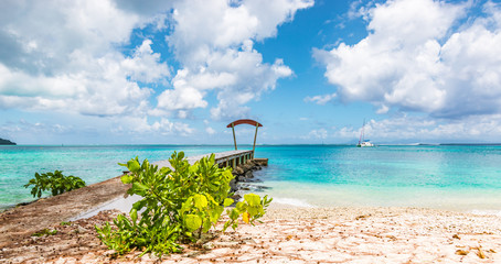 Topical beach, Huahine Island, French Polynesia, 