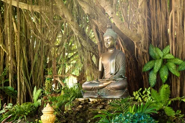 Gordijnen Buddha statue in nature,Thailand. © Eskymaks